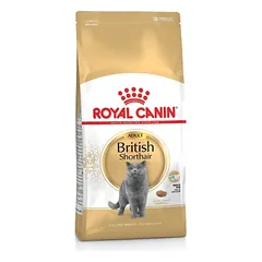 ROYAL CANIN British Shorthair sausas pašaras katėms