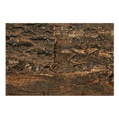 Repti Planet natūralios kamštienos fonas 29 x 27,3 x 2 cm