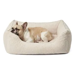 PAW WOW guolis šunims ANTON Cord, smėlio spalvos, Mažiems 5–10 kg — 2 nuotrauka