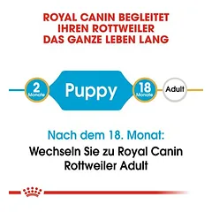 Royal Canin Rottweiler Puppy sausas maistas šunims — 4 nuotrauka