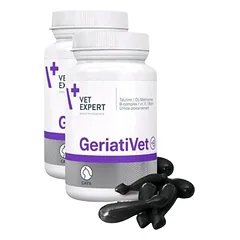 VET EXPERT GERIATIVET CAT - palaikomasis preparatas vyresnio amžiaus katėms 2x60 kapsulių