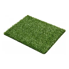 Žolės patiesalo dėžė šuniukams ir suaugusiems šunims Pet Pooty XL 76x50x3 cm — 5 nuotrauka