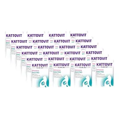 Kattovit Gastro lašiša 24x85g paketėlis