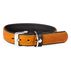 Das Lederband Hundehalsband Vancouver Maroon/Black