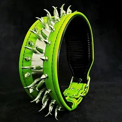 Bestia Hundehalsband Predator
