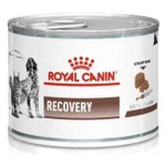 Royal Canin VD Dog Recovery konservai šunims ir katėms