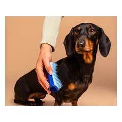 Pet Teezer plaukų šepetys gyvūnams De-Shedding&Dog Grooming Brush Small, žydras — 2 nuotrauka