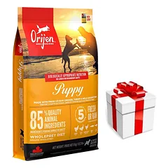 ORIJEN Dog Puppy 6kg + STAIGMENA ŠUNIUI