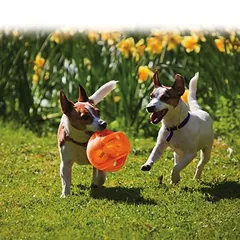 KONG Jumbler Ball žaislas šunims, Dideliems 26–45 kg — 2 nuotrauka