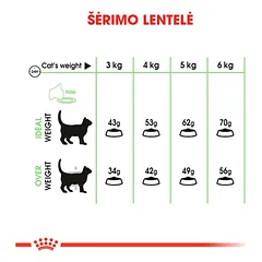 ROYAL CANIN Digestive Care sausas pašaras katėms, FCN 2kg — 3 nuotrauka