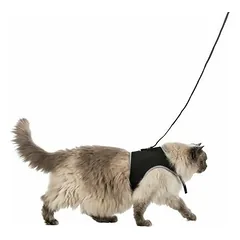 Krūšu siksna veste ar pavadu kaķiem - Trixie Soft harness with leash for cats, XL, 36–54 cm, 1.20 m — 4 nuotrauka