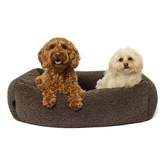 PAW WOW guolis šunims SVEN Teddy, rudas, Dideliems 26–45 kg — 2 nuotrauka