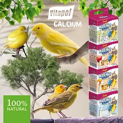 Vitapol natūralus mineralinis akmuo, papildomas pašaras dekoratyviniams paukščiams, 35 g — 3 nuotrauka