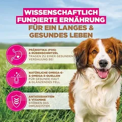Eukanuba Grain Free Adult Small & Medium su ėriena, sausas maistas šunims — 4 nuotrauka