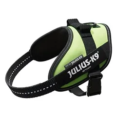 Julius-K9 IDC® Power petnešos, neoninės žalios, Mažiems 5–10 kg — 3 nuotrauka