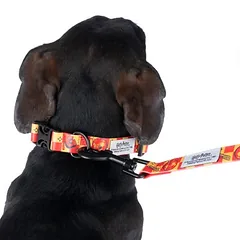 WARNER BROS Harry Potter antkaklis Gryffindor, oranžinis, Vidutiniams 11–25 kg — 4 nuotrauka