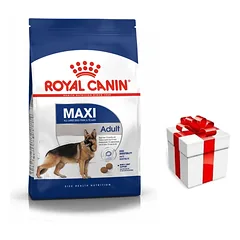 ROYAL CANIN Maxi Adult 15kg + STAIGMENA ŠUNIUI