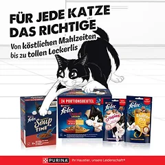 Felix „Doppelt lecker - So gut wie es aussieht“ maišeliai, drėgnas maistas katėms 12 x 85 g