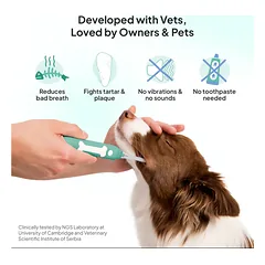DOGSLIFE Petsie Revolutionary Toothbrush elektrolitinis dantų šepetėlis vidutinių veislių šunims, M — 5 nuotrauka