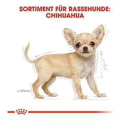 Royal Canin Chihuahua Puppy sausas maistas šuniukams — 5 nuotrauka