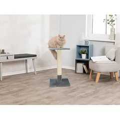 TRIXIE Baena draskyklė stulpas, 69 cm, pilka — 5 nuotrauka