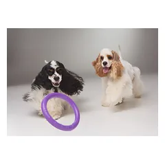 Žaislas - mankštos priemonė šunims PULLER Mini 18 cm — 5 nuotrauka