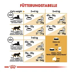 Royal Canin Ragdoll Adult sausas maistas katėms, > 10 kg — 5 nuotrauka