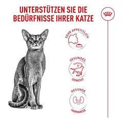 2 kg gratis! 12 kg Royal Canin