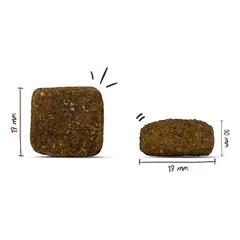 bosch Maxi Adult, sausas maistas šunims, > 10 kg — 3 nuotrauka