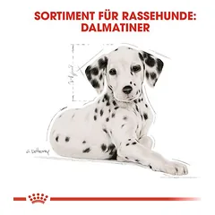 Royal Canin Dalmatian Puppy sausas maistas šuniukams — 5 nuotrauka