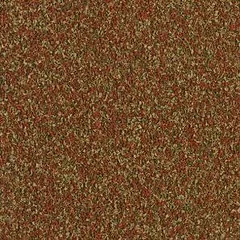TetraMin gran (sveriamas)