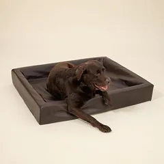 Modern Living guolis šunims Tabac, Vidutiniams 11–25 kg — 5 nuotrauka