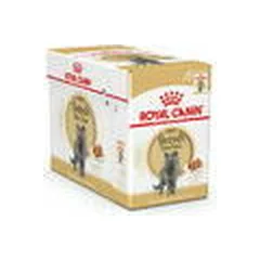 Royal Canin FBN British Shorthair drėgnas maistas katėms 12 x 85 g — 2 nuotrauka