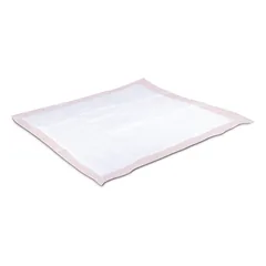 Record AssorbiPiu Perfumed kilimėliai šuniukams ir šunims su gaiviu vaisių kvapu, 60x60cm, 40 vnt. — 3 nuotrauka