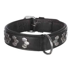 Trixie Active odinis antkaklis su metaline apdaila, L-XL 55-65 cm / 40 mm, juodas