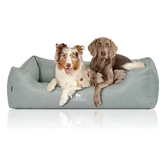 Knuffelwuff Orthopädisches Hundebett Luisa aus Velours Sunshine Edition