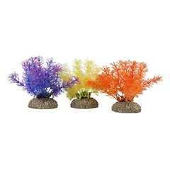 Aqua Della akvariumo augalas Wasserfeder, spalvotas