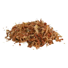 Trixie Sphagnum Moss Substrate terariumo substratas, sfagno samanų — 2 nuotrauka