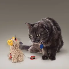 KONG Softies Buzzy Llama žaislas katėms, 1 vnt. — 2 nuotrauka