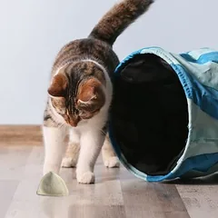 Kater Kasimir katžolės pagalvėlė, 3 vnt. rinkinys — 3 nuotrauka