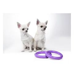 Žaislas - mankštos priemonė šunims PULLER Micro 12,5 cm — 2 nuotrauka