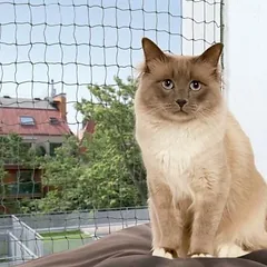 TRIXIE Apsauginis tinklas žalias 3x2 m