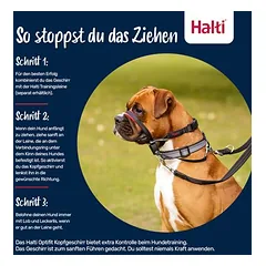 Halti Optifit galvos kamanos, Dideliems 26–45 kg — 3 nuotrauka