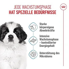 Royal Canin Giant Puppy sausas maistas šunims — 4 nuotrauka