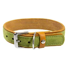 Das Lederband antkaklis šunims Norden Lime/Maroon