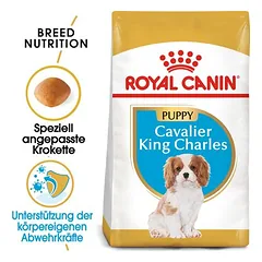 Royal Canin Cavalier King Charles Puppy
