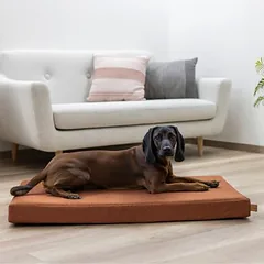 Kerbl Pet čiužinys šunims Memory Foam Oliver, rūdžių spalvos, L 60 x B 100 x H 8 cm — 4 nuotrauka
