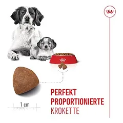 Royal Canin Medium Starter Mother & Babydog sausas maistas šunims, > 10 kg — 5 nuotrauka