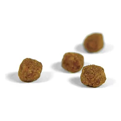 Josera Kitten 10 kg + 1 kg = 11 kg — 2 nuotrauka