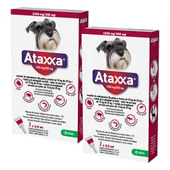 2x KRKA Ataxxa 1250 mg/250 mg lašai šunims, sveriantiems nuo 10 kg iki 25 kg